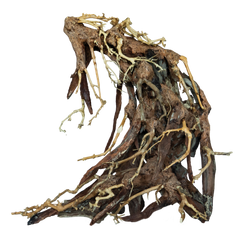 Bonsai Root Large
