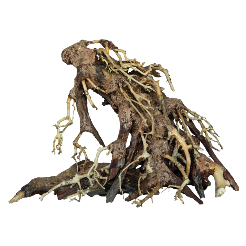 Bonsai Root Small