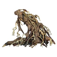 Bonsai Root Small