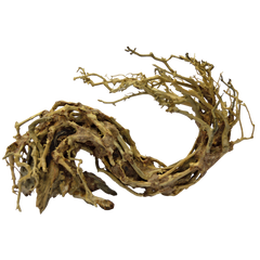 SuperFish Bonsai Wave Large