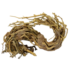 SuperFIsh Bonsai Wave Small
