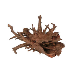 HS Aqua Corbo-root