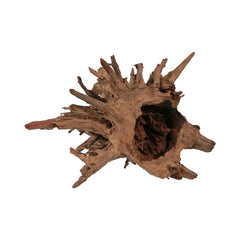 HS Aqua Corbo-root
