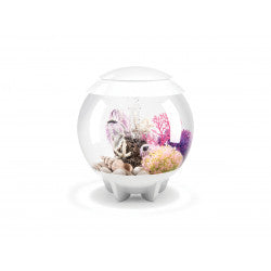 biOrb Halo 15 MCR