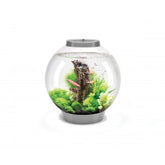 biOrb CLASSIC 30 LED