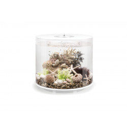 biOrb TUBE 35 MCR