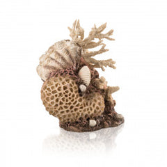 biOrb koraal & schelpen ornament naturel