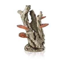 biOrb zwam op schors ornament