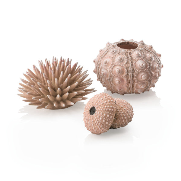 biOrb Zee-egel set naturel