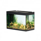 StyleLine 175 Aquarium