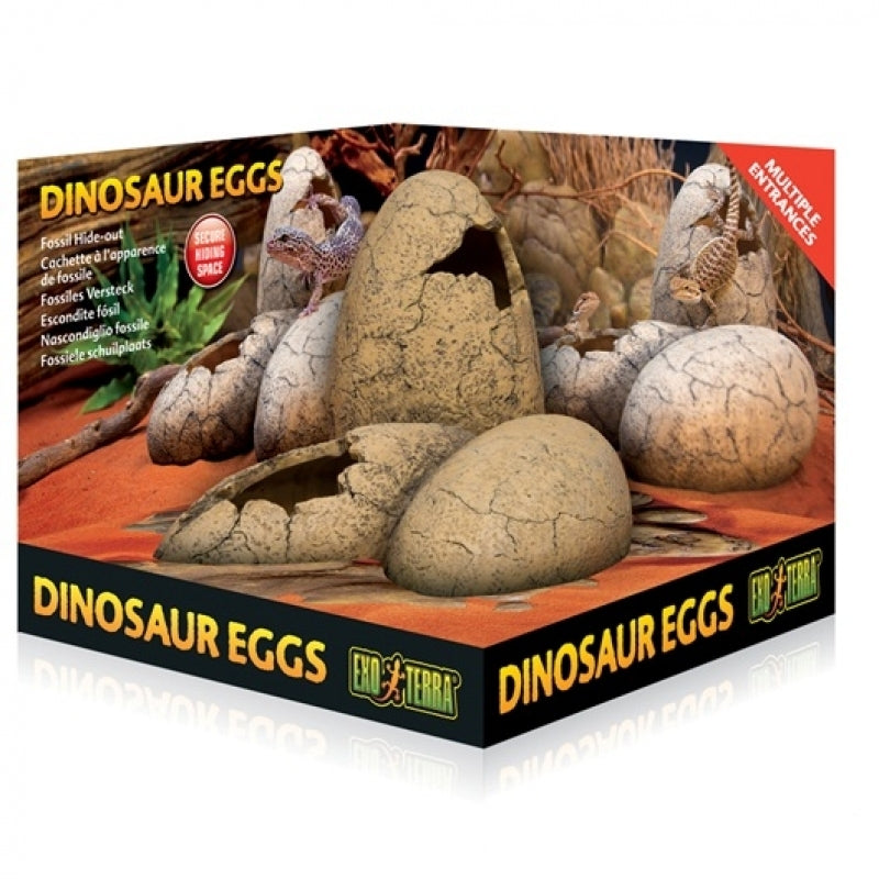 Exo Terra Dinosaurus Eieren