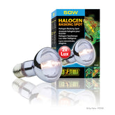 Exo Terra Sun Glo Halogen Lamp