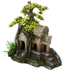 Europet Maya Ruin