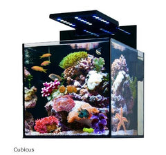 Aqua Medic Cubicus CF zonder verlichting