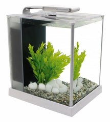 Fluval spec 3 nano aquarium 10 L Wit