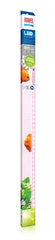JUWEL LED BUIS COLOUR
