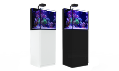 MAX® NANO Cube Cabinet