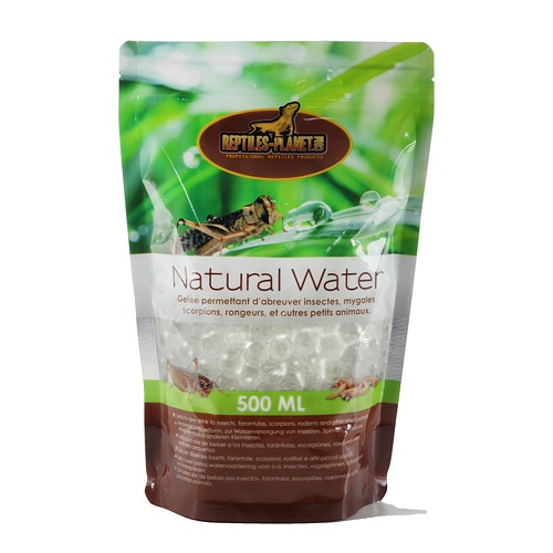 Natural Water 500ml