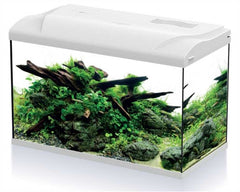 HS Aqua Platy 70 LED