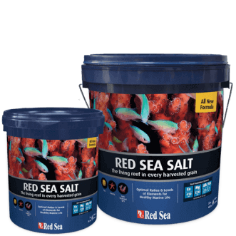 Red Sea Salt