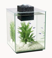 Fluval shui II nano aquarium set 19 L