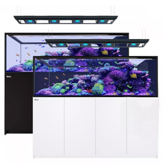 REEFER™ Peninsula G2+ S-950 Deluxe System