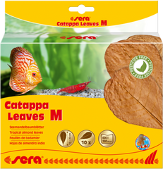 Sera Catappa leaves