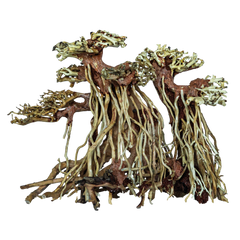 SuperFish Bonsai Twin Tree Small