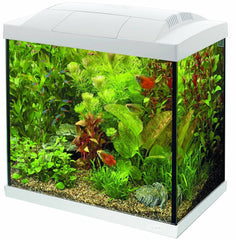 Superfish start 30 tropical kit