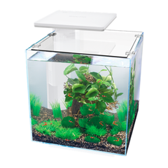 SuperFish QubiQ 30 Pro