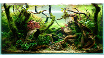 Aquascaping