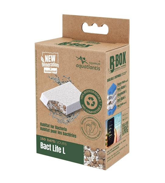 Aquatlantis B-Box Maat L