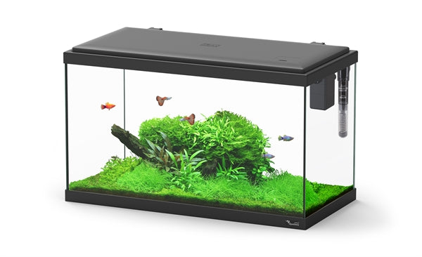 Aquatlantis Aquarium Explorer Paris 60 Zwart-001 60x30x34 cm