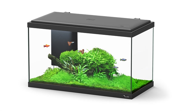 Aquatlantis Aquarium Explorer Biobox Paris 60 Zwart-001 60x3