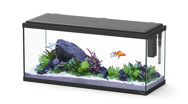 Aquatlantis Aquarium Explorer Amsterdam 80 Zwart-001 80x30x37