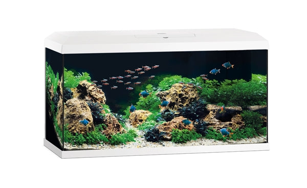 JUWEL AQUARIUM PRIMO 110 2.0