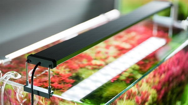 CHIHIROS B-SERIE 60-80 CM (37,1 W) INKL. BLUETOOTH