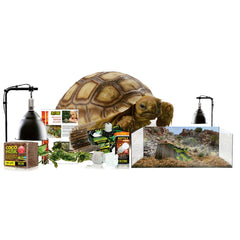 Exo Terra kit terrarium landschildpad