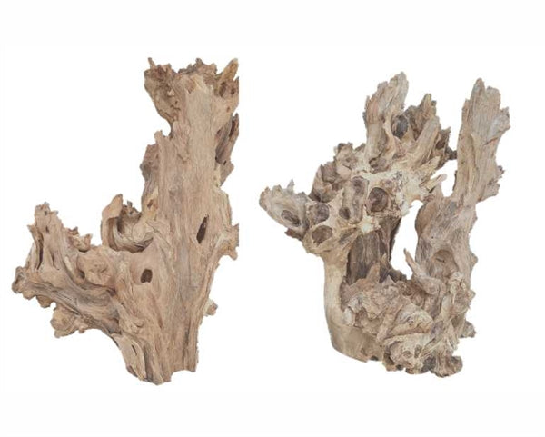 HS Aqua Kayika Wood