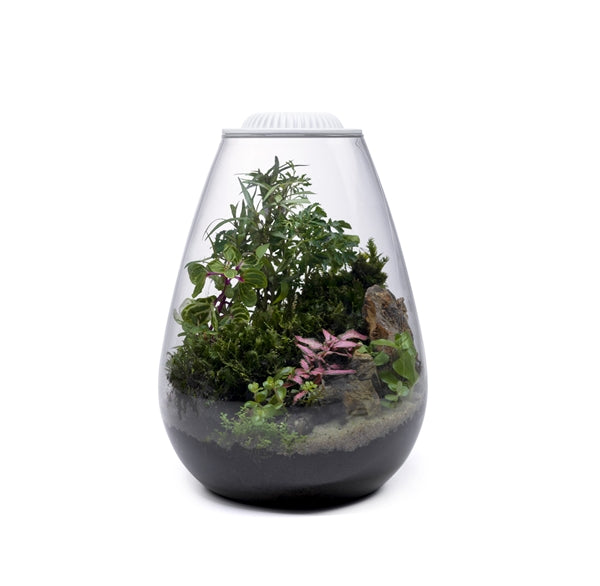 Wabi Kusa Bio Bowl 200 incl. LED White or Black