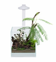 WABI KUSA BIO AIR TANK 20X20X20 CM INCL. LED BLACK OR WHITE