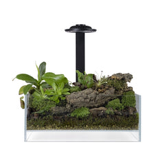 WABI KUSA BIO AIR TANK 30X18X12 CM INCL. LED BLACK OR WHITE