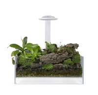 WABI KUSA BIO AIR TANK 30X18X12 CM INCL. LED BLACK OR WHITE