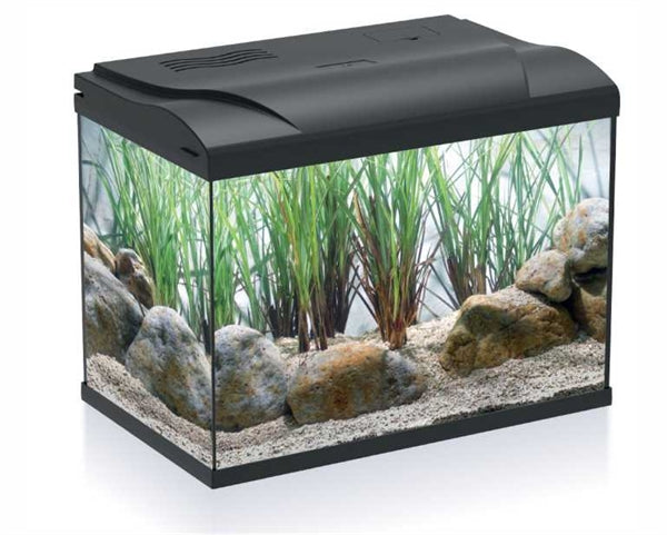 HS Aqua Aquarium Coldy 20 LED 39x22x30 cm