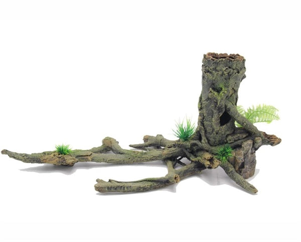 Blue Belle Pacific Root with Plants No 2 53x28x23 cm