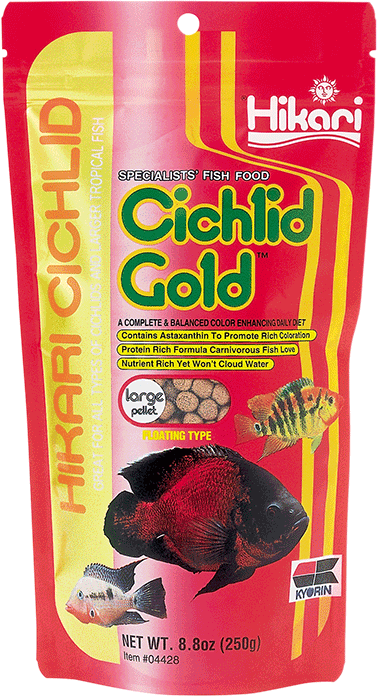 Hikari Cichlid Gold