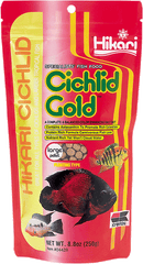 Hikari cichlid gold