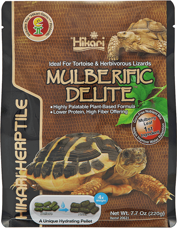 HIKARI TURTLE MULBERIFIC