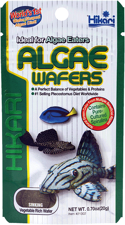 Hikari Algae Wafers