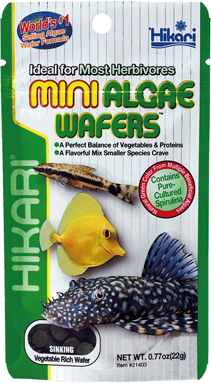 Hikari mini algae wafers